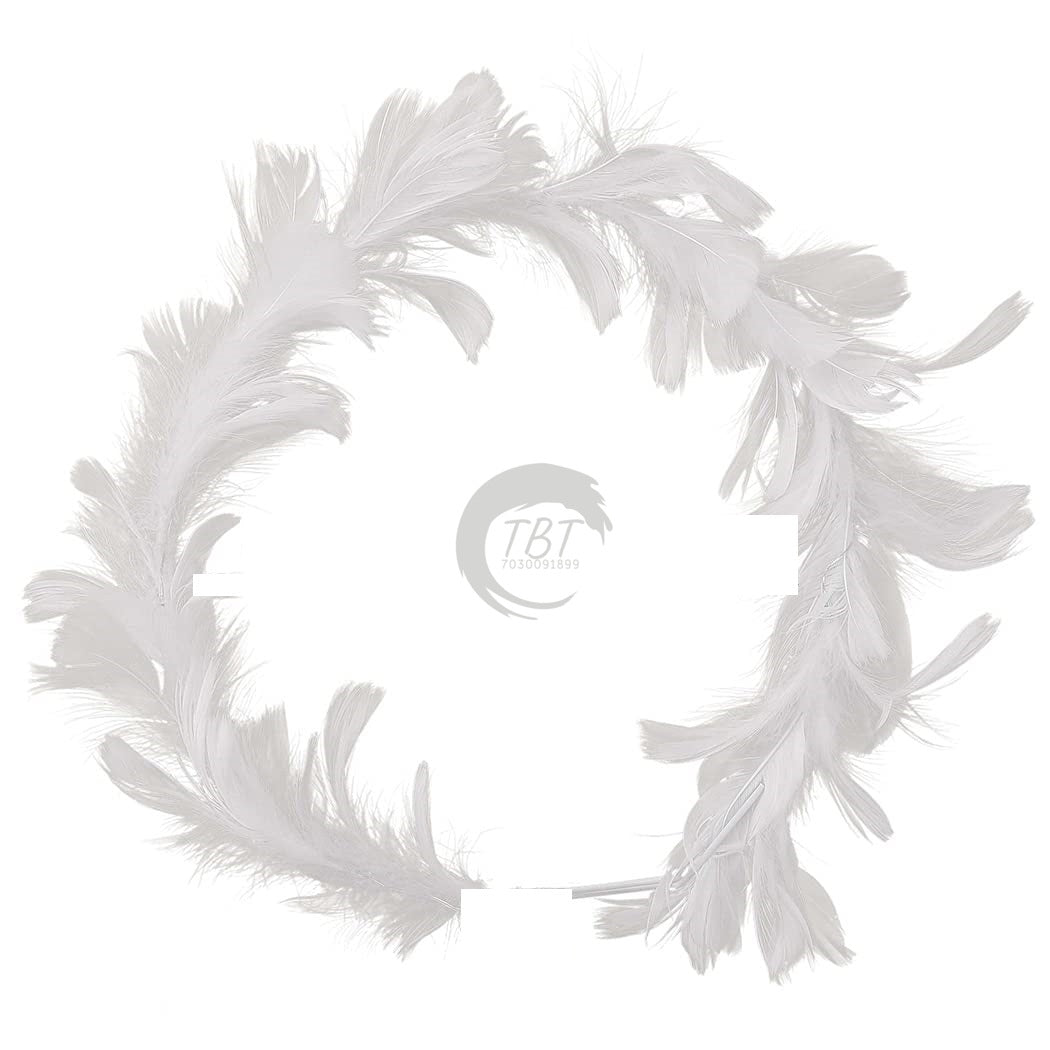 White Round Feather