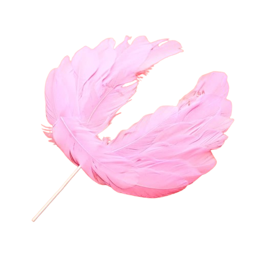 Pink Angel Wing Feather Cake Topper