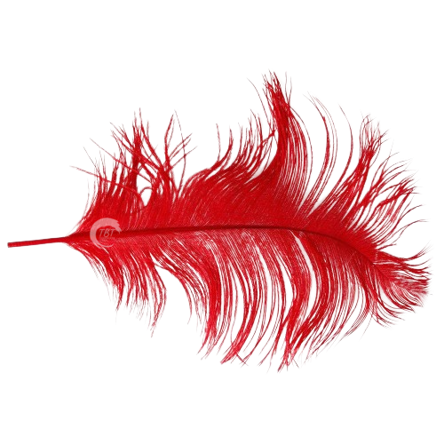 Red Single Feather