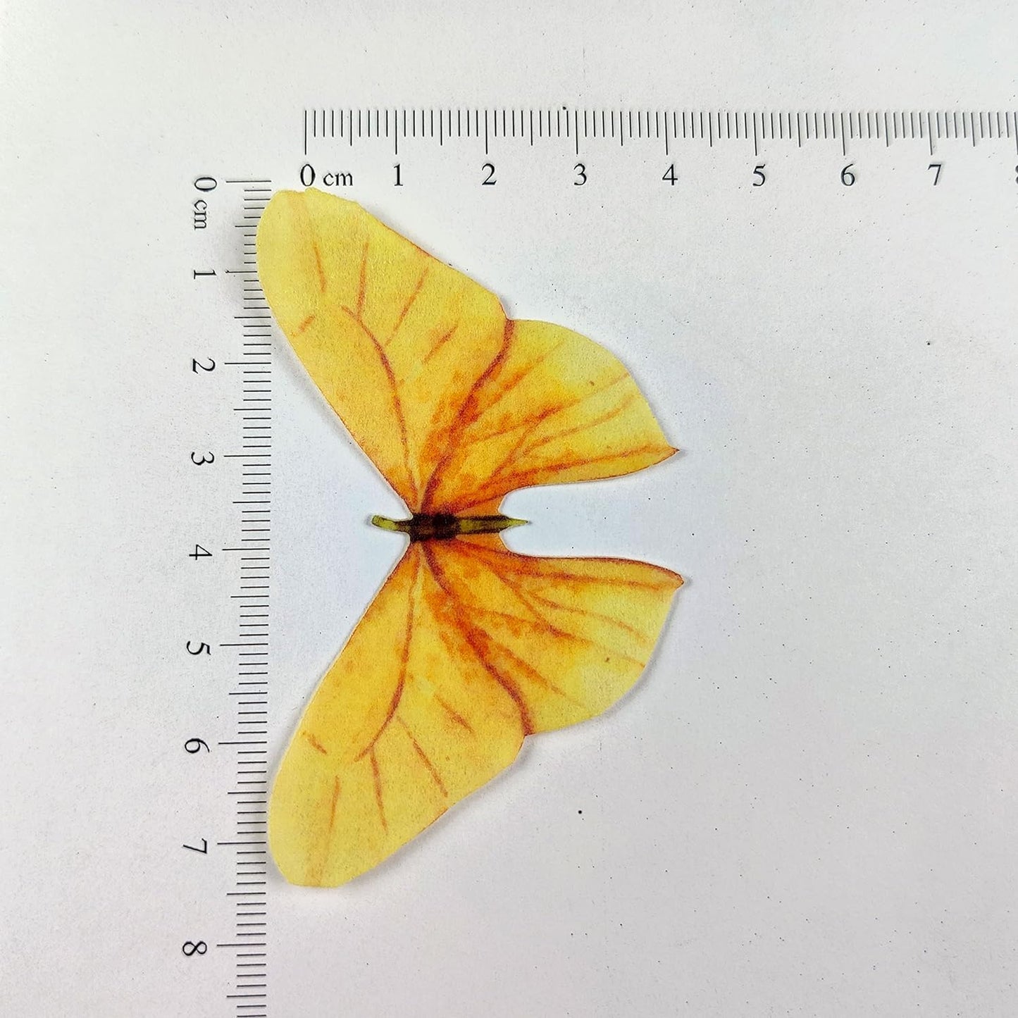 Pastel Color Big Size Edible Pre-Cut Butterfly Wafer Paper