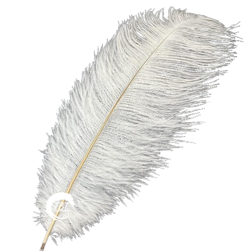 White Single Feather