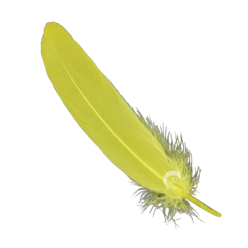 Yellow Feather