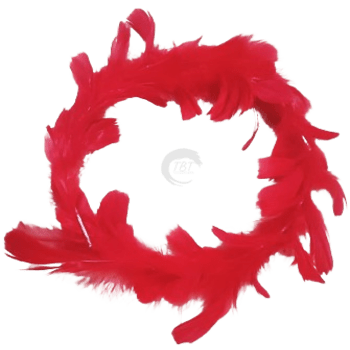 Red Round Feather