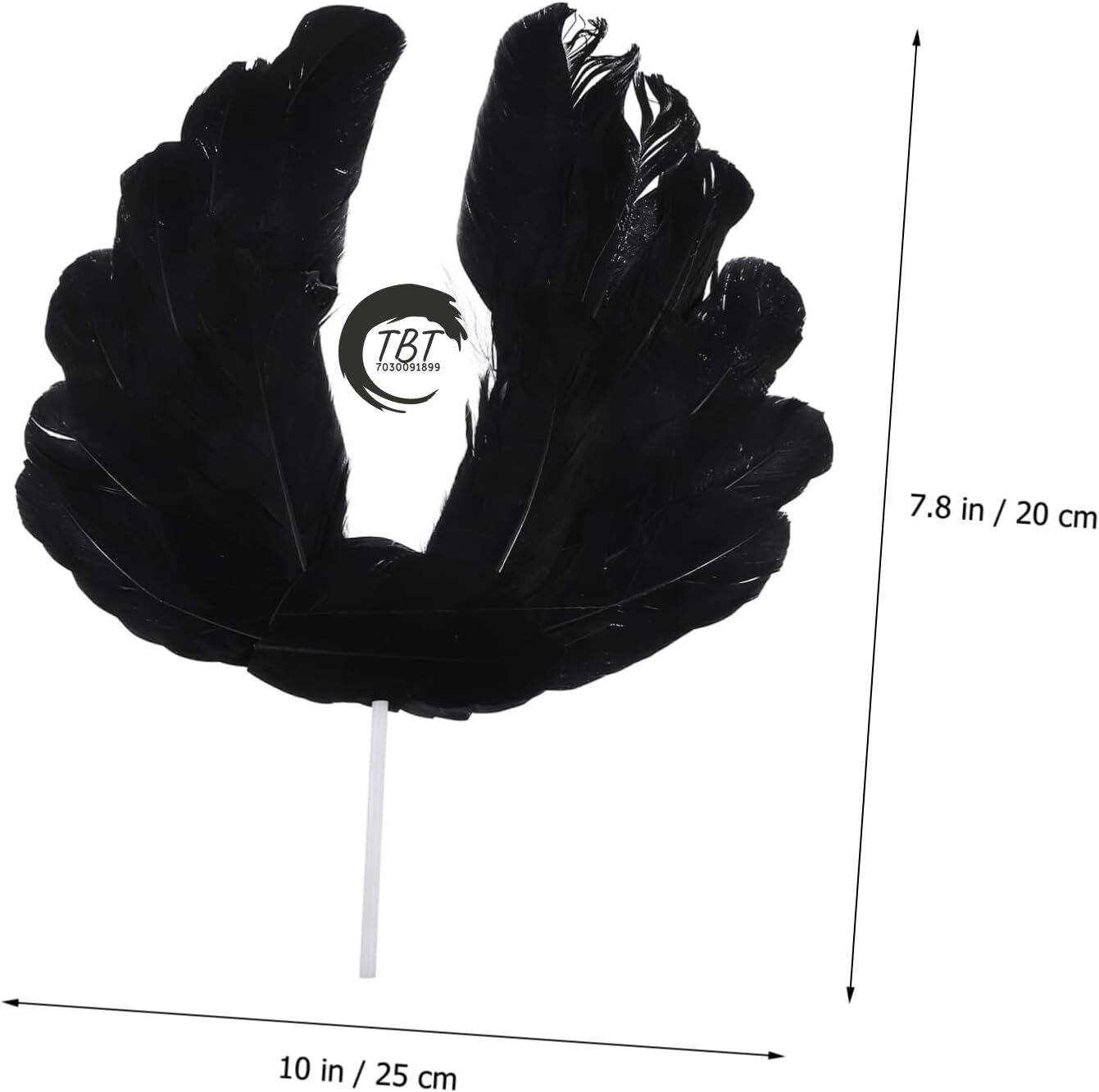 Black Angel Wing Feather Cake Topper
