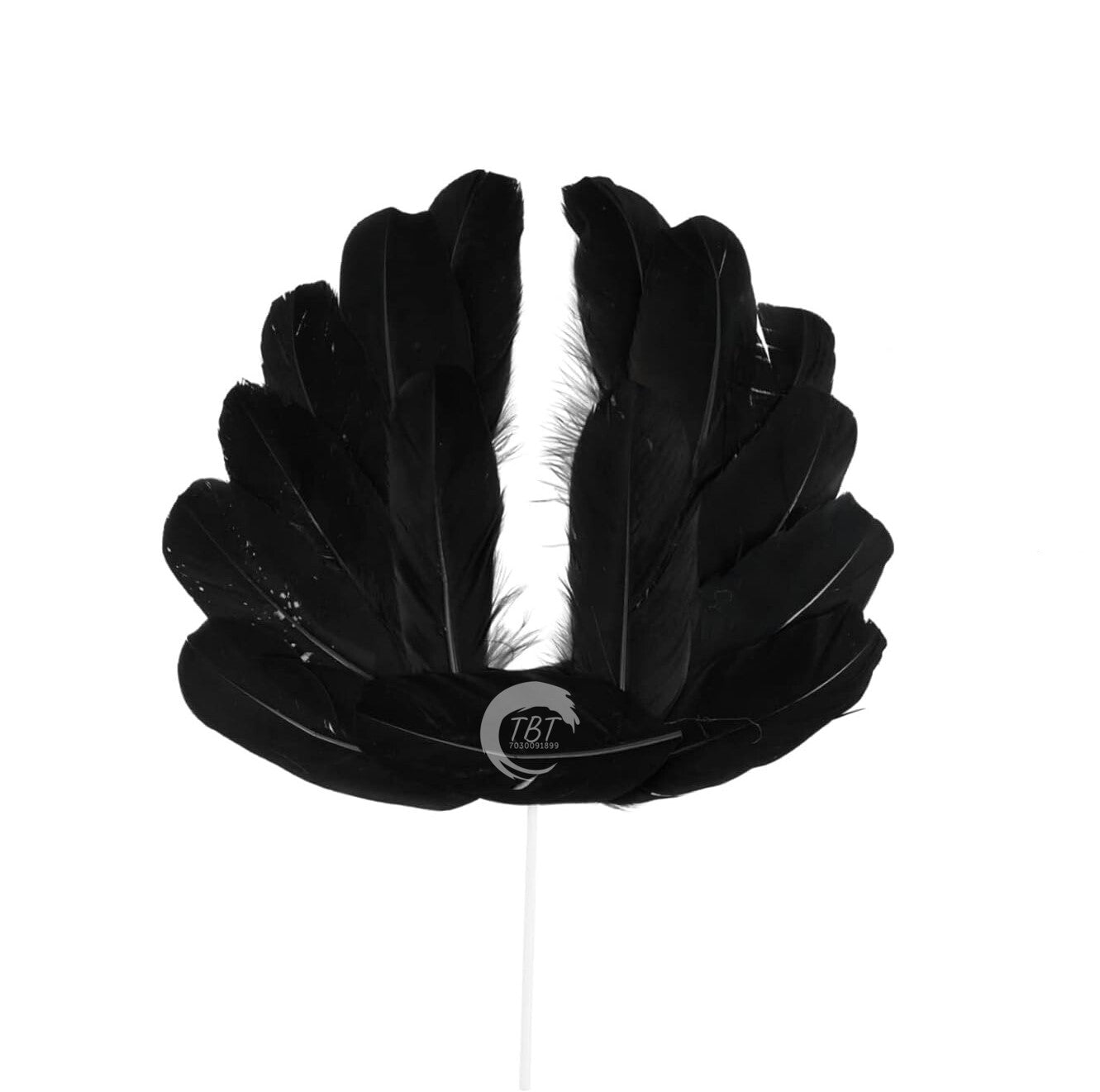 Black Angel Wing Feather Cake Topper