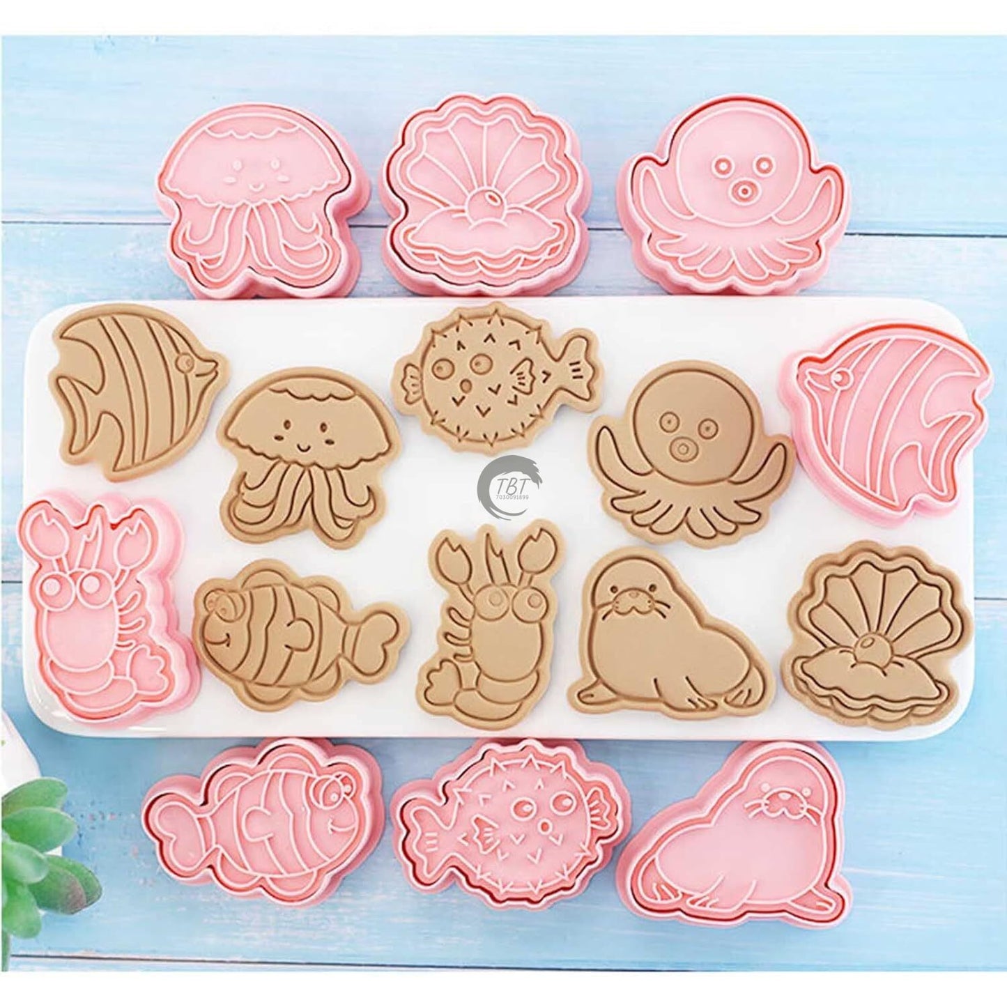 8 Pcs Sea Creatures Cookie And Fondant Cutter