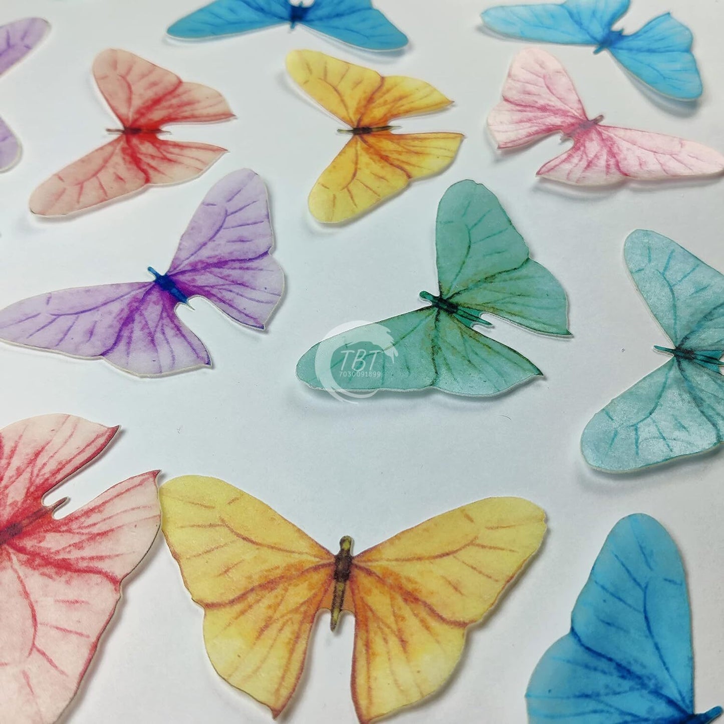 Pastel Color Big Size Edible Pre-Cut Butterfly Wafer Paper