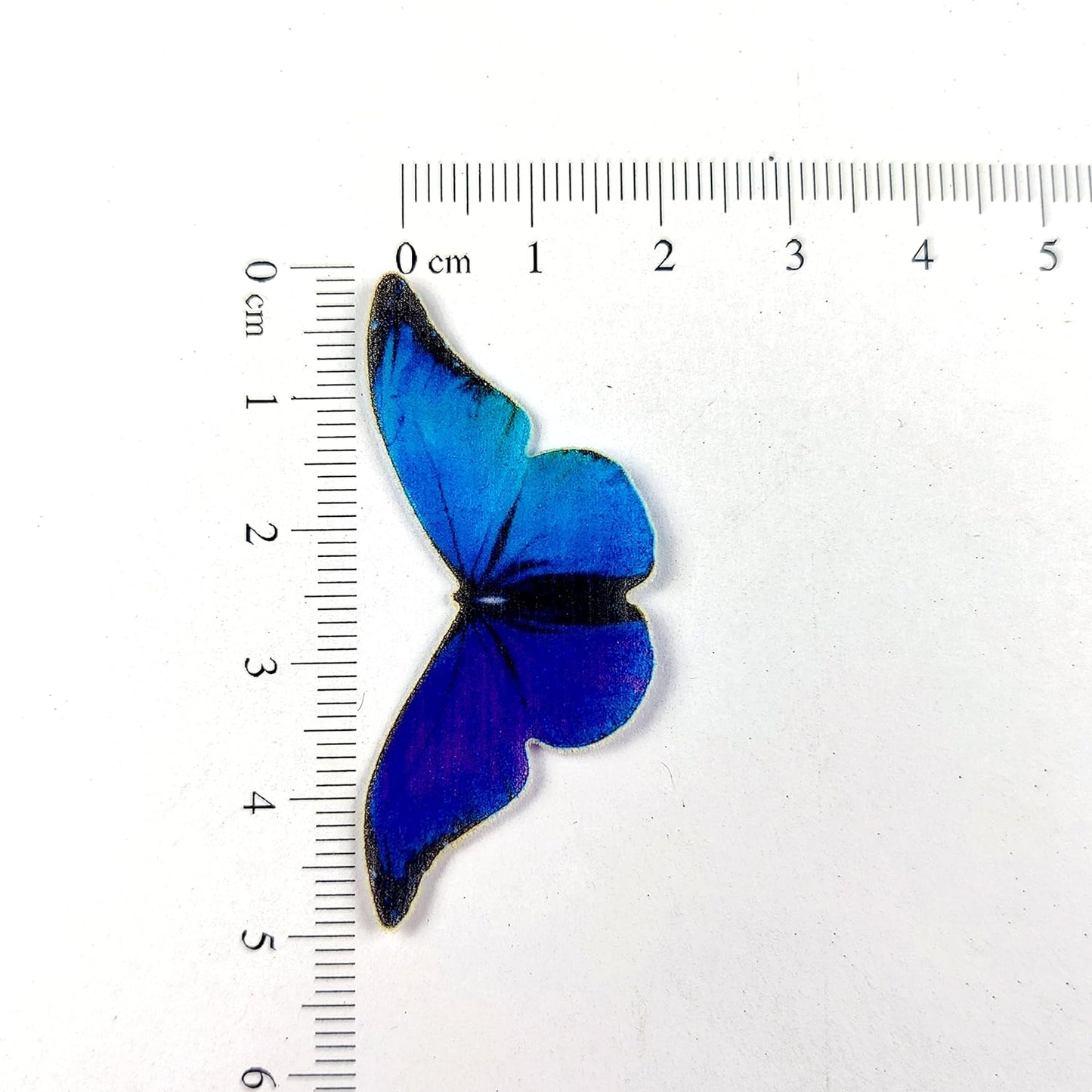 Rainbow Paper Topper #4