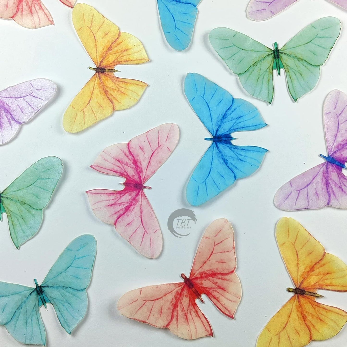 Pastel Color Big Size Edible Pre-Cut Butterfly Wafer Paper