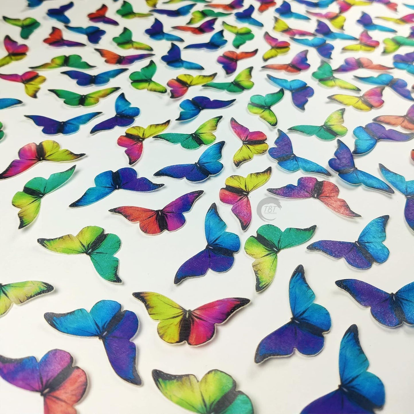 Rainbow Paper Topper #4