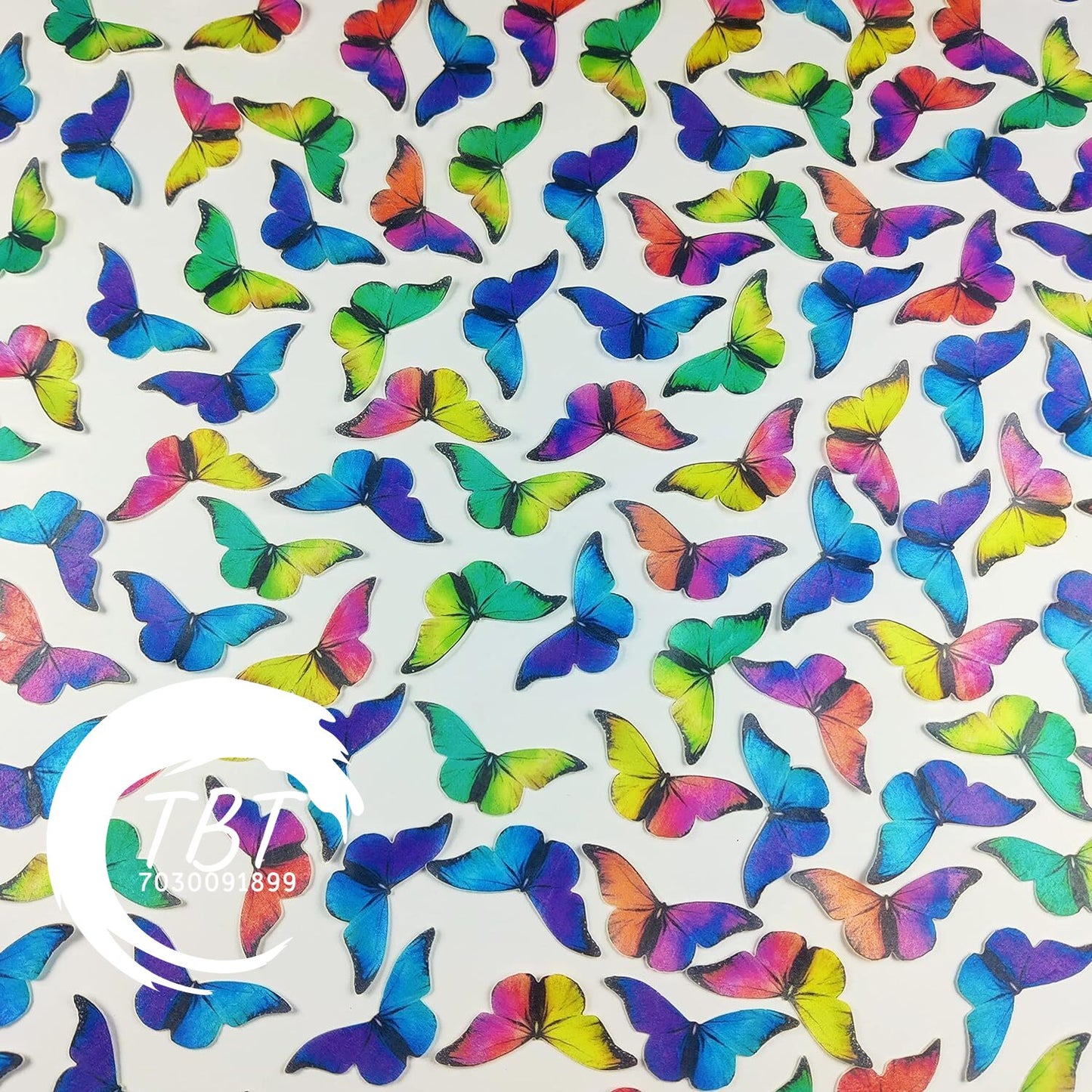 Rainbow Paper Topper #4
