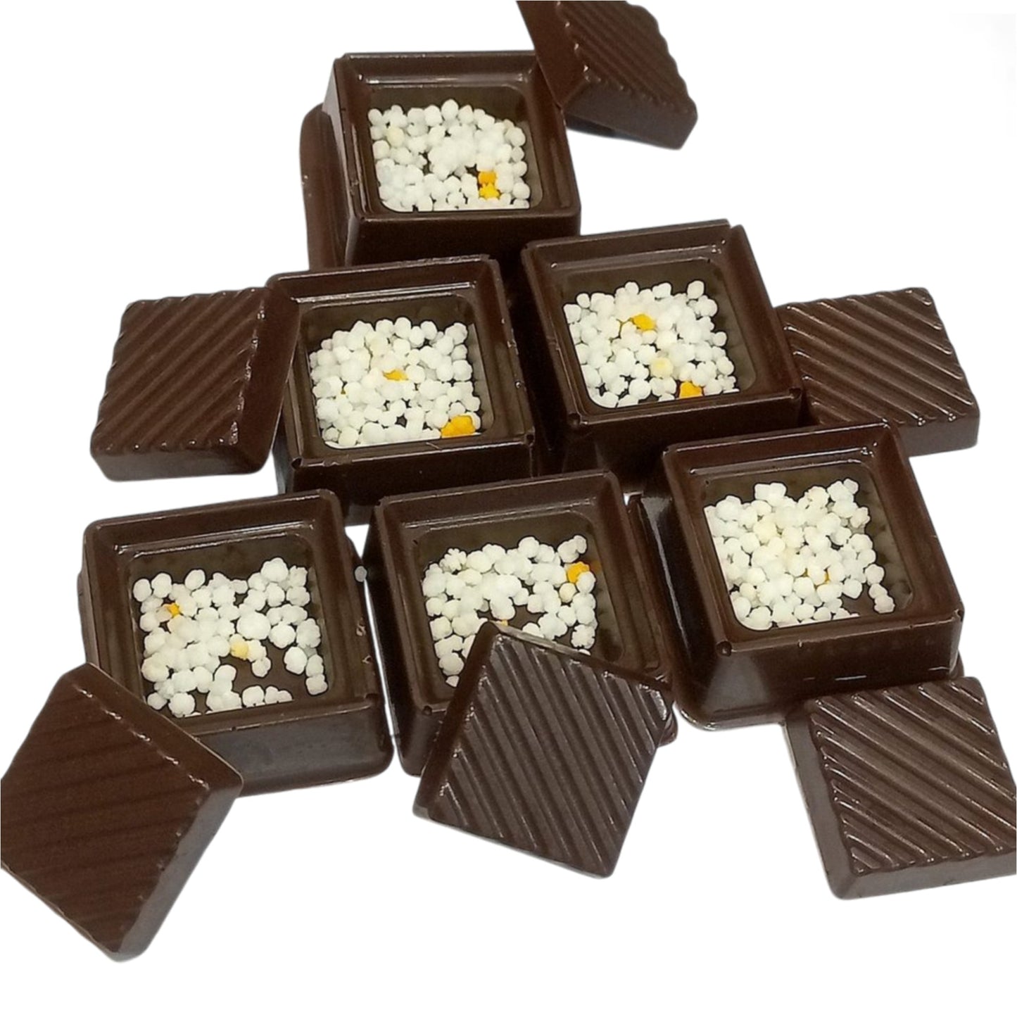 Center Filling Sqaure Chocolate Mold