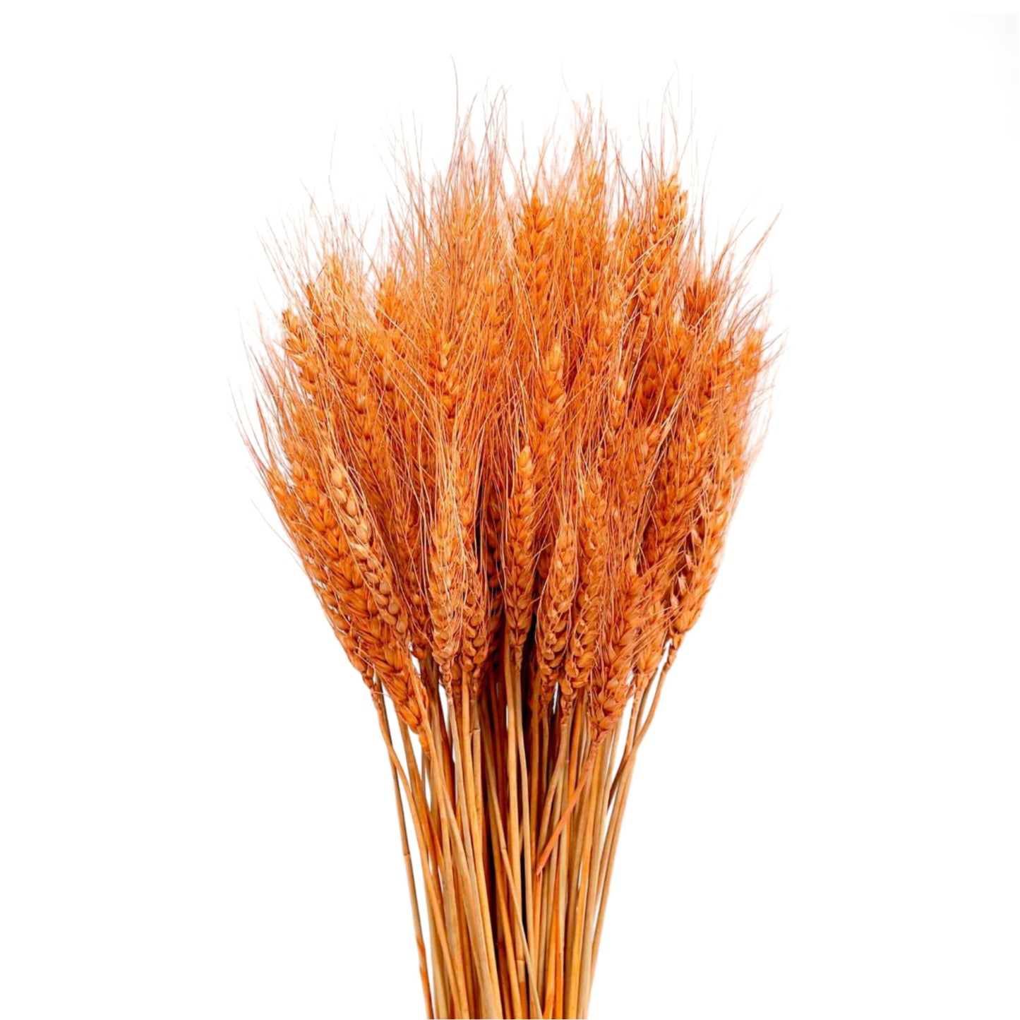 Orange Dried Wheat Grass Cake Decoration [ 1 Piece ]