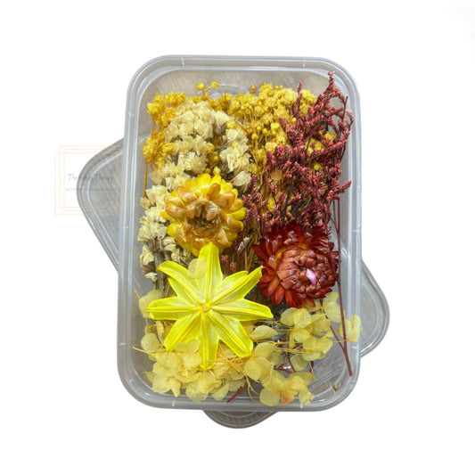 Real Dry Flower Box for Resin Art Craft Projects And Cake Decoration ( Color 3 )