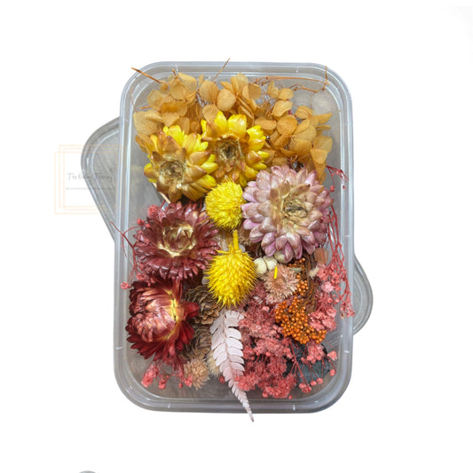 Real Dry Flower Box for Resin Art Craft Projects And Cake Decoration ( Color 1 )