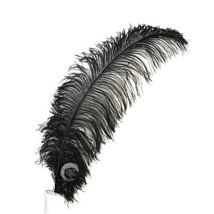 Black Single Feather
