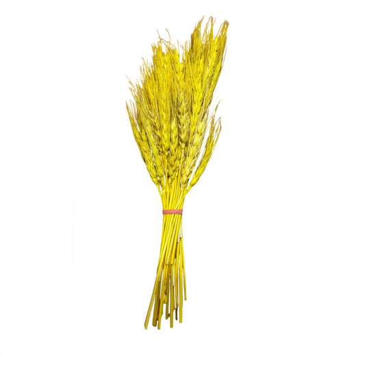 Yellow Dried Wheat Grass Cake Decoration [ 1 Piece ]