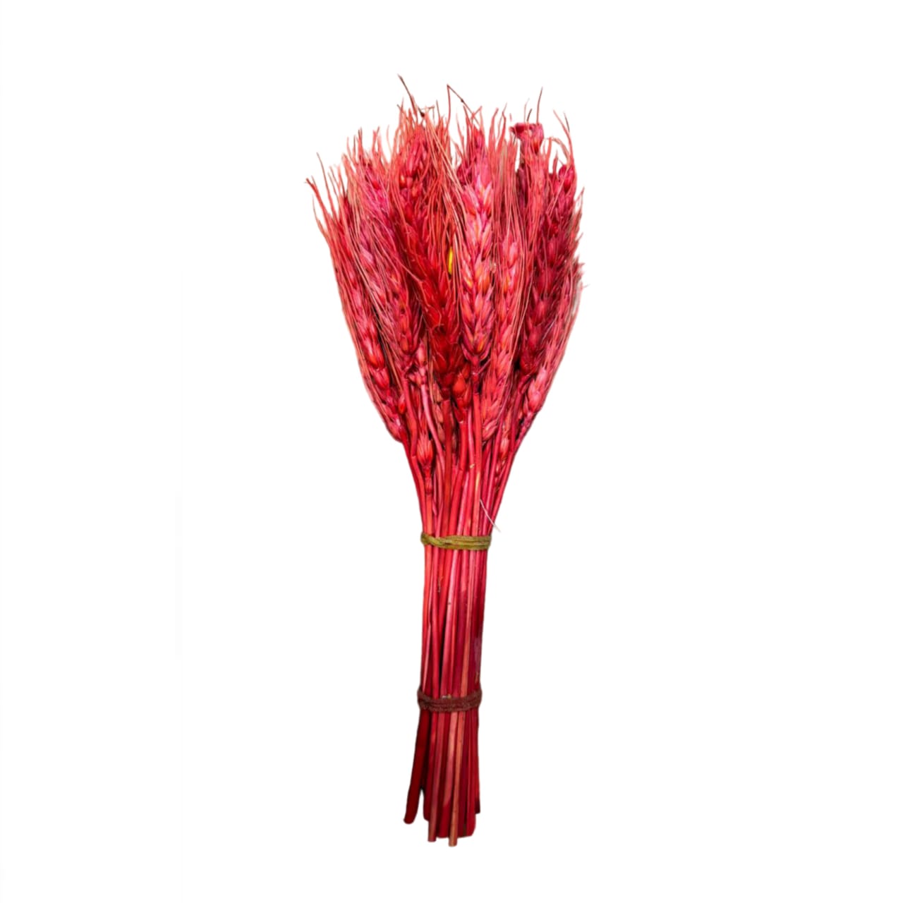Red Dried Wheat Grass Cake Decoration [ 1 Piece ]