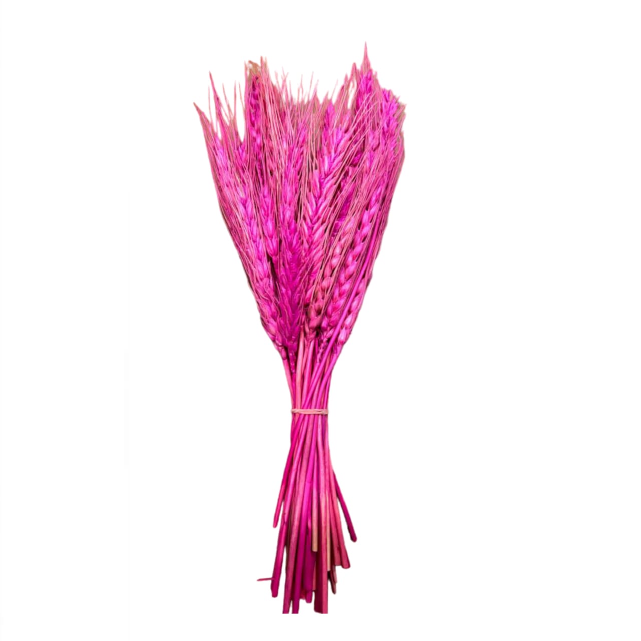 Pink Dried Wheat Grass Cake Decoration [ 1 Piece ]
