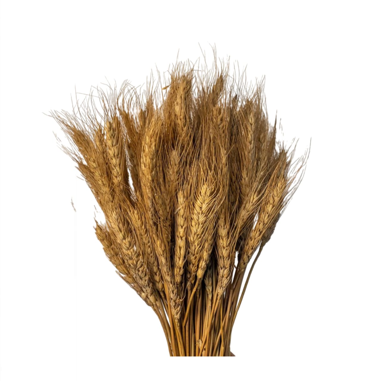 Golden Dried Wheat Grass Cake Decoration [ 1 Piece ]