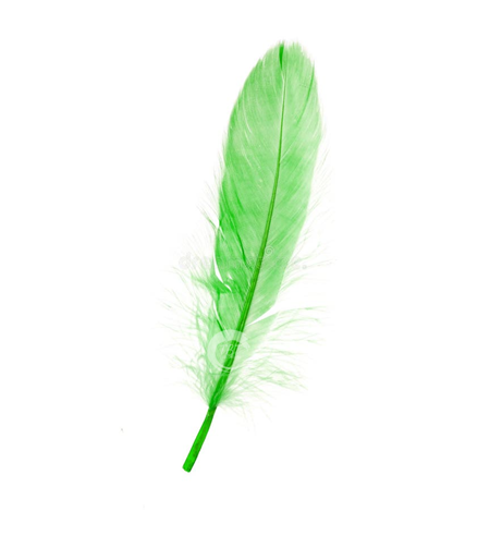 Green Feather