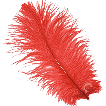 Red Single Feather