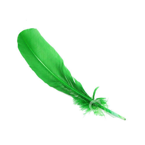 Green Feather